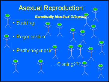 Asexual Reproduction