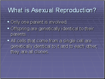What is Asexual Reproduction?