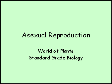 Asexual Reproduction