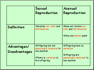 Asexual Reproduction