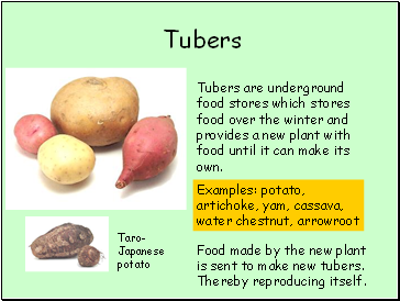 Tubers