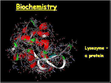 Biochemistry. The Chemistry of Life