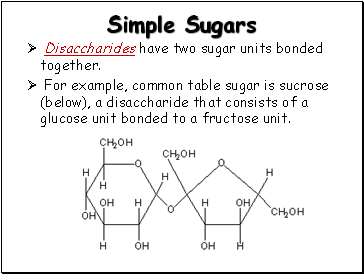 Simple Sugars