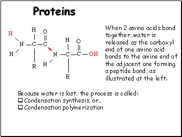 Proteins