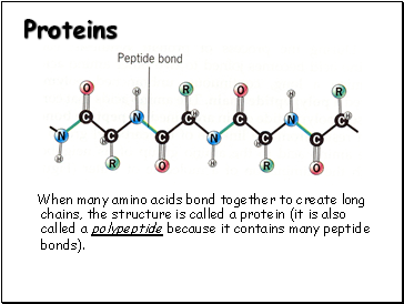 Proteins