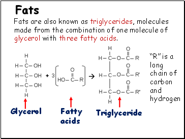 Fats