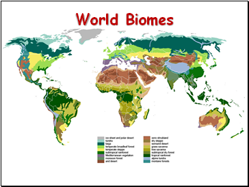 World Biomes