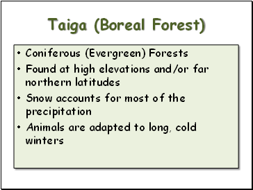 Taiga (Boreal Forest)