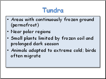 Tundra