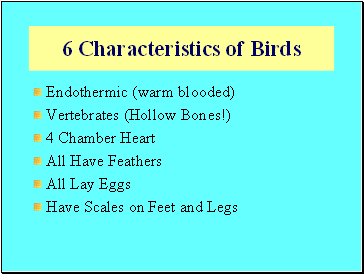 6 Characteristics of Birds