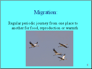 Migration: