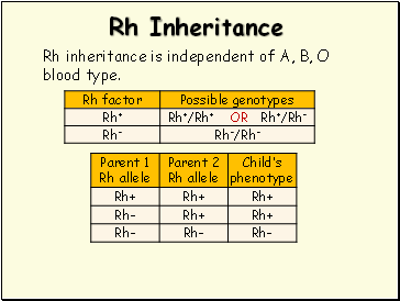 Rh Inheritance