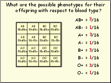 What are the possible phenotypes for their offspring with respect to blood type?