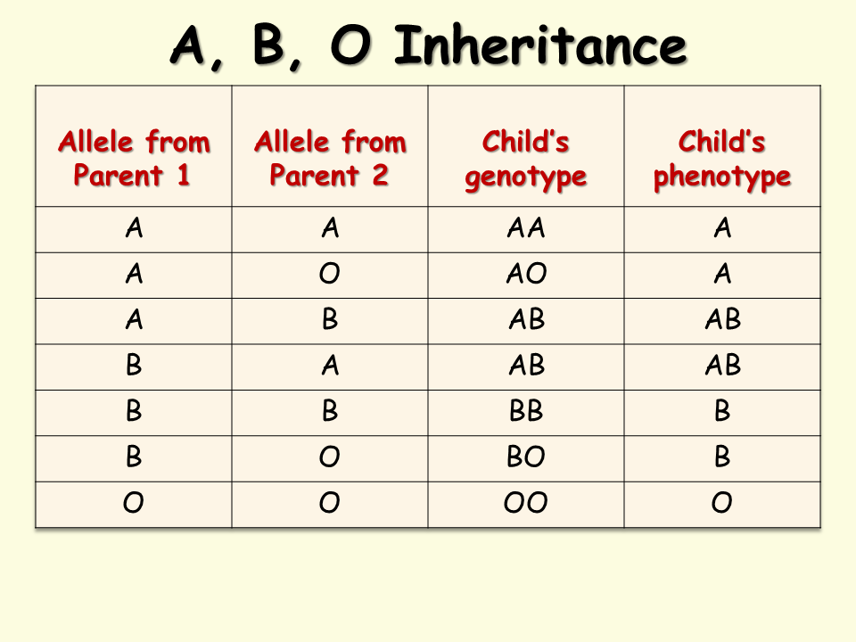 Blood Type Phenotype Chart