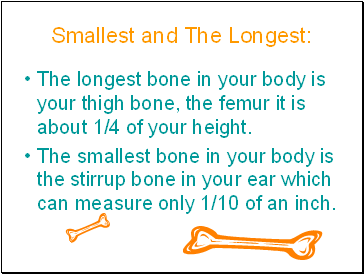 Smallest and The Longest: