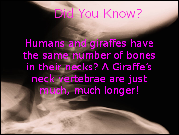 Did You Know?