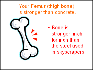 Your Femur (thigh bone) is stronger than concrete.