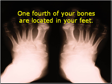 One fourth of your bones are located in your feet.