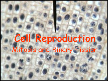 Cell Reproduction