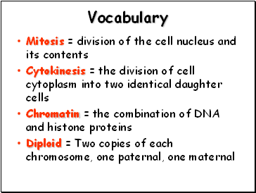 Vocabulary