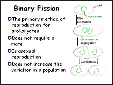 Binary Fission