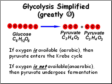 Glycolysis Simplified (greatly )