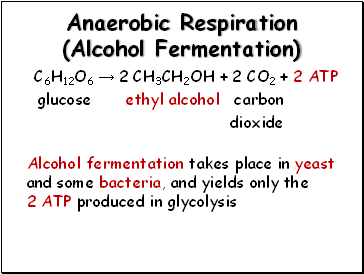 Anaerobic Respiration