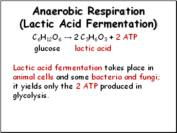 Anaerobic Respiration