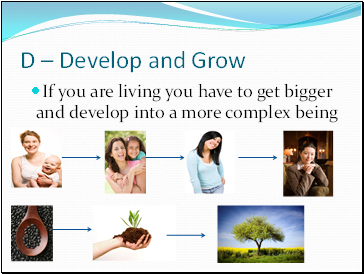 D – Develop and Grow