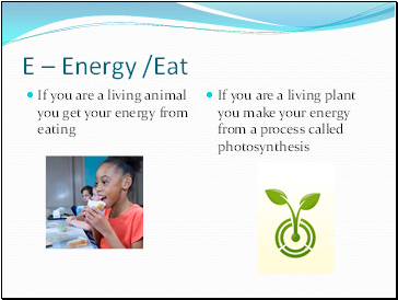 E – Energy /Eat