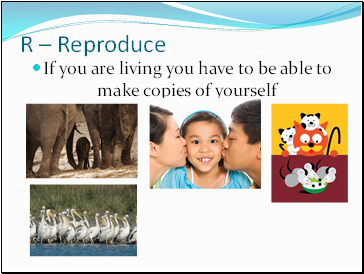R – Reproduce