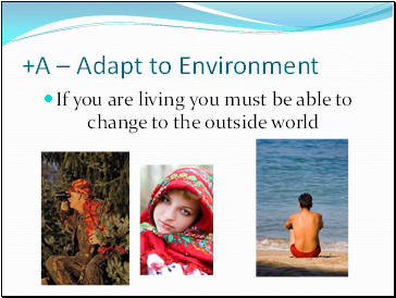 +A – Adapt to Environment