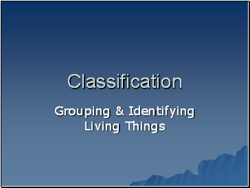 Classification