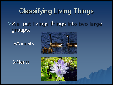 Classifying Living Things