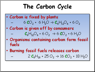 The Carbon Cycle