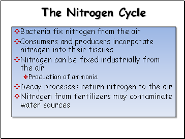 The Nitrogen Cycle