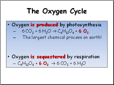 The Oxygen Cycle