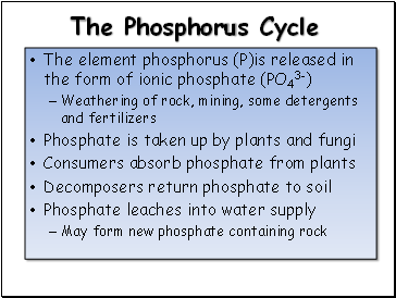 The Phosphorus Cycle