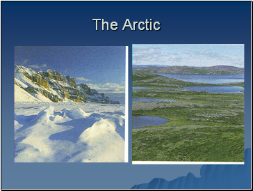 The Arctic