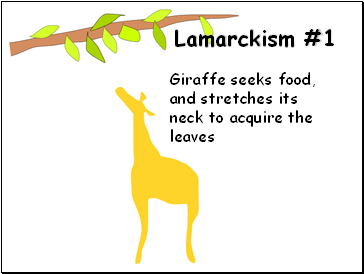 Lamarckism #1
