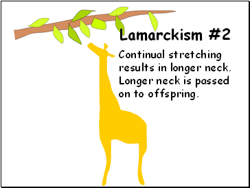 Lamarckism #2