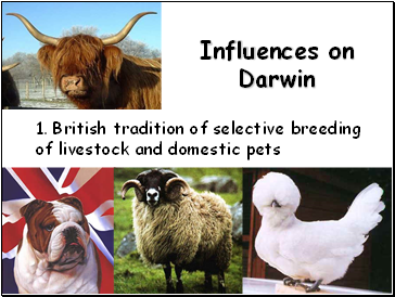 Influences on Darwin