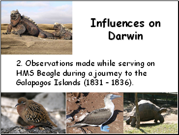 Influences on Darwin