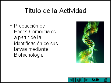 Título de la Actividad