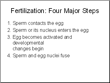 Fertilization: Four Major Steps