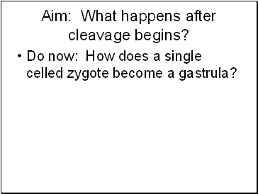Aim: What happens after cleavage begins?