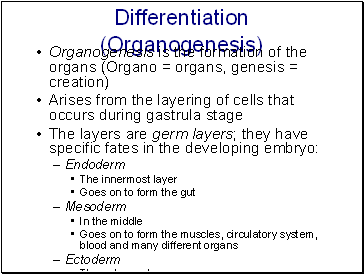 Differentiation (Organogenesis)