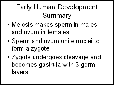 Early Human Development Summary