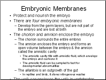 Embryonic Membranes