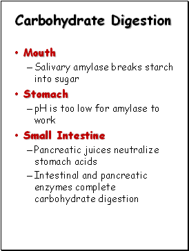 Carbohydrate Digestion